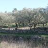 Отель Le Mas du Mont-Long - Sud Ardèche, фото 9