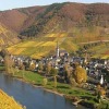 Отель Moselwinzerhaus, фото 7