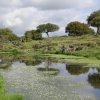 Отель Palacio Viejo de Las Corchuelas, фото 30