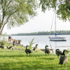 Отель Motel Rideau, фото 21