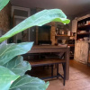 Отель Rustic 2 Bedroom Flat in Brixton, фото 9