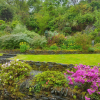 Отель Clyde View Bed & Breakfast, фото 14