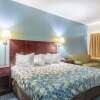 Отель Econo Lodge Inn & Suites Pritchard Road North Little Rock, фото 5