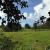 Отель Noosa Edge Retreat - Только для взрослых, фото 19