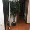 Отель Apartamentos Monte Oiz ASN, фото 8