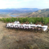 Отель Villa With 3 Bedrooms in Lamego, With Wonderful Mountain View, Private, фото 20