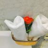 Отель Cairo Lodge Hostel, фото 2