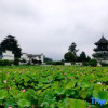 Отель Xiaoqiao Homestay, фото 4