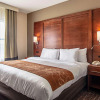 Отель Comfort Suites NW Dallas Near Love Field, фото 5