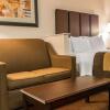 Отель Comfort Inn & Suites, фото 39