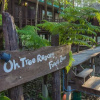 Отель Oh Tree Resort, фото 6