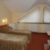 Отель Pensiunea Turistica Europa, фото 2