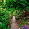 Отель La Shamana Ecological, Concept in the Jungle, фото 36