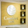 Отель Comfort Inn Guilford near I-95, фото 16