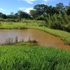 Отель Aguas Vivas Hotel Fazenda, фото 14