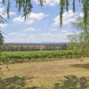 Отель Beggars Bridge Vineyard Homestead w/ pool + wifi + tennis + vineyard, фото 9
