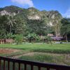 Отель Our Jungle Camp - Eco Resort, фото 18