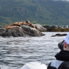 Отель Zachar Bay Lodge, фото 26