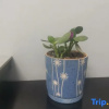 Отель Encounter Movie B&B, фото 3