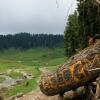 Отель Gulmarg Meadows Resort, фото 10