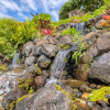 Отель Maui Hill by Coldwell Banker Island Vacations, фото 33