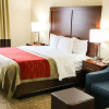 Отель Comfort Inn And Suites, фото 4