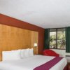 Отель Travelodge by Wyndham Fort Lauderdale Beach, фото 18