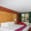 Отель Travelodge by Wyndham Fort Lauderdale Beach, фото 4