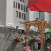 Отель The Linden Tree, фото 15
