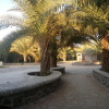 Отель Amrut Bagh resort, фото 6