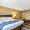 Отель Comfort Inn, фото 5