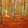 Отель Paturages de la Kys, фото 12