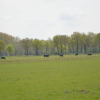 Отель Tranquil Holiday Home in Limburg amid a Forest, фото 3