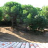 Отель House With 5 Bedrooms in Sainte-maxime, With Enclosed Garden and Wifi, фото 13