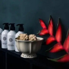 Отель Arusha Residence Boutique Hotel, фото 14