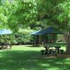 Отель Celtis Country Lodge and Restaurant, фото 12