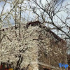 Отель Danba Time Starry Sky Guesthouse, фото 12
