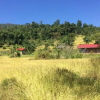 Отель PaliGhar Farmstay, фото 26