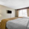 Отель Quality Inn & Suites, фото 4