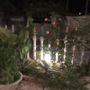 Отель Tam Coc Cherry Homestay, фото 22