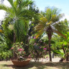 Отель House With 2 Bedrooms in La Trinité, With Wonderful sea View, Pool Acc, фото 25