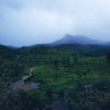 Отель Bungalow With Tea Garden View, фото 6