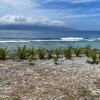 Отель Green Lodge Moorea, фото 18