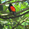 Отель Lavas del Arenal, фото 27