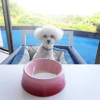 Отель Wan's Resort Jogasaki Coast, фото 42