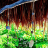 Отель Best Location & Comfort in Tulum's Heart, фото 15