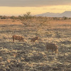 Отель Caster JKIA Homes, фото 25