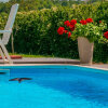 Отель Apartment Marinko - with pool : A Kuca Barban, Istria, фото 23
