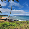 Отель Polynesian Shores, фото 24
