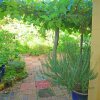 Отель Shady Grove B&B, фото 6
